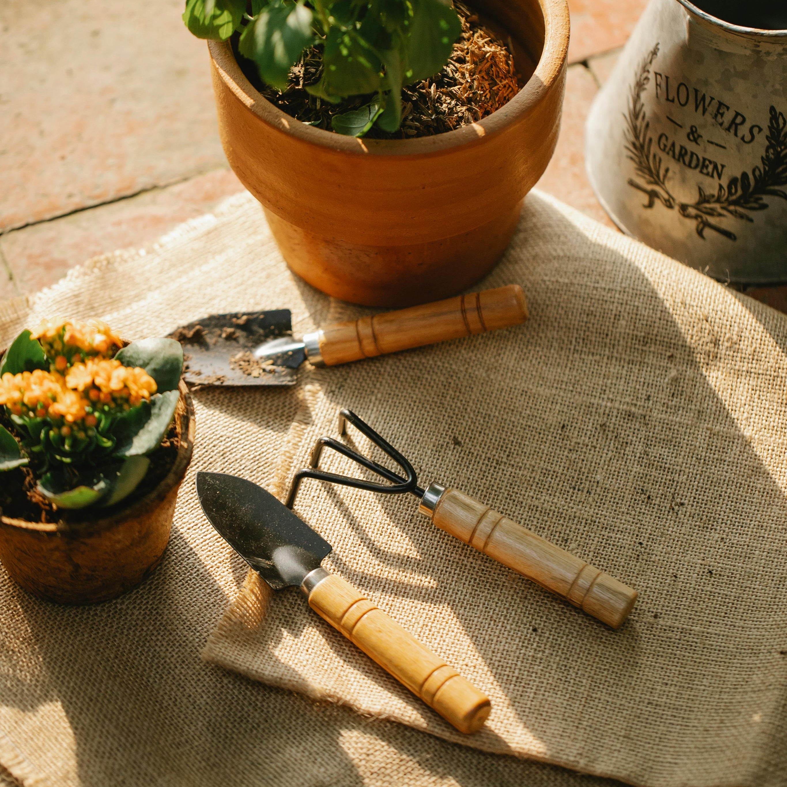 Garden Accessories