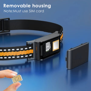 PawiTrack 4G Cat GPS Tracker & Activity Monitor | Real-Time Tracking UK