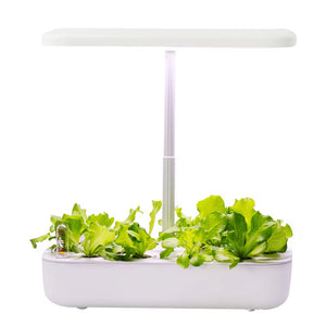 AquaBloome Hydroponic Indoor Herb Garden UK