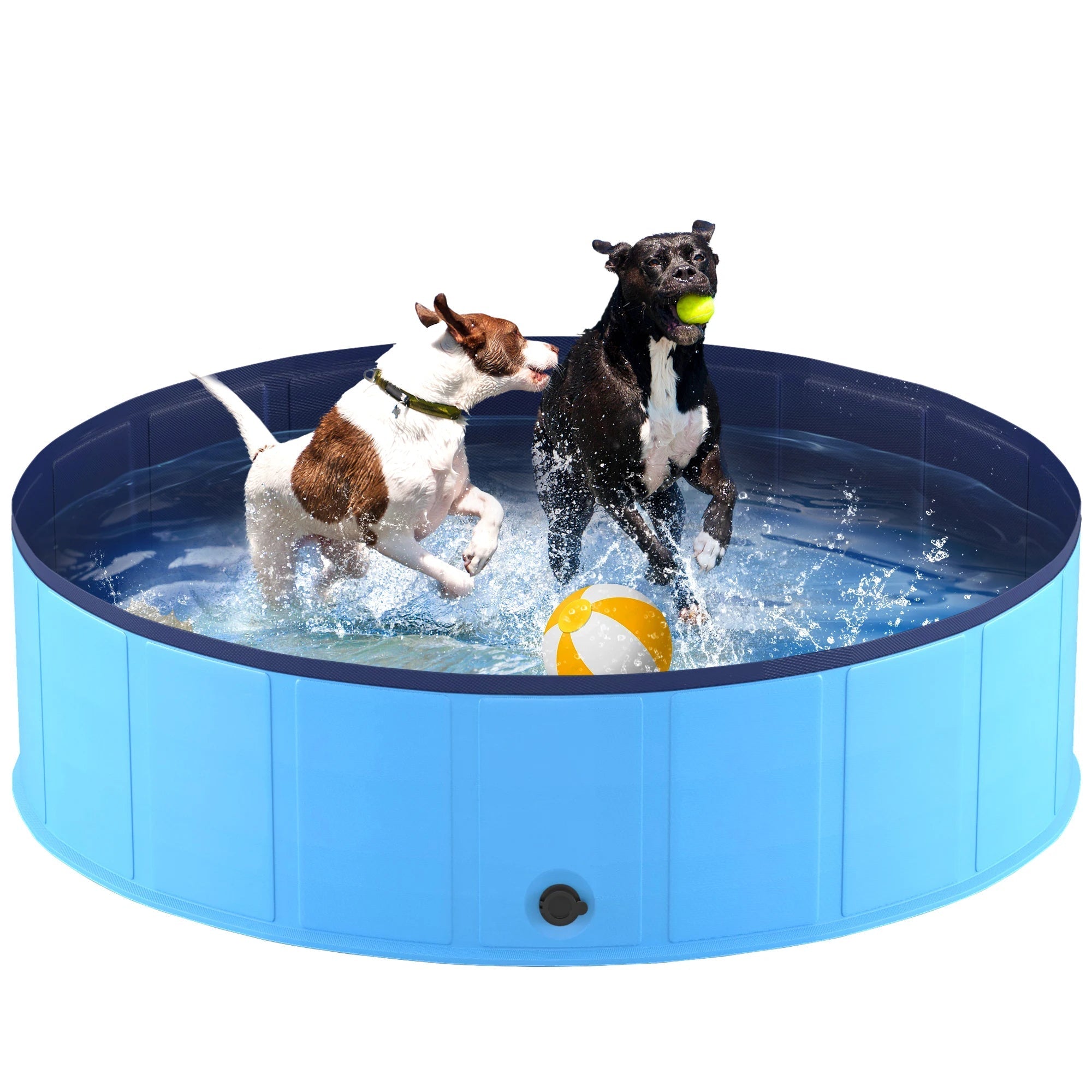 PawCeana