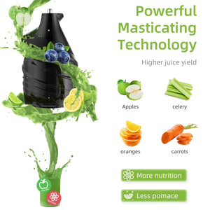 FruitTusii Slow Masticating Cold Press Juicer UK