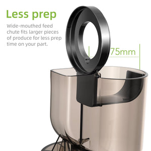FruitTusii Slow Masticating Cold Press Juicer UK