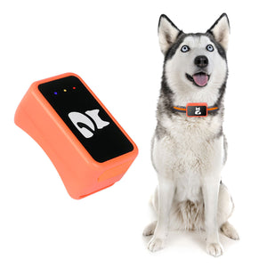 PawiSition Cat GPS Tracker: Real-Time Location & Activity Monitor