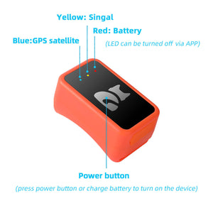 PawiSition Cat GPS Tracker: Real-Time Location & Activity Monitor