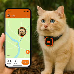 PawiSition Cat GPS Tracker: Real-Time Location & Activity Monitor