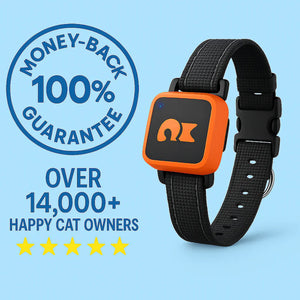 PawiSition Cat GPS Tracker: Real-Time Location & Activity Monitor