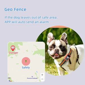 PawiSition Cat GPS Tracker: Real-Time Location & Activity Monitor