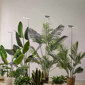 PlanTeraa Full Spectrum LED Grow Light with Adjustable Stand