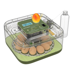 EggOriva