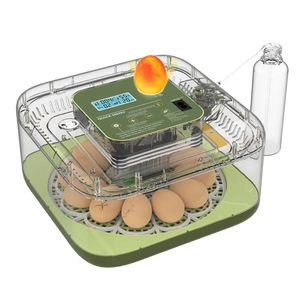 EggOriva