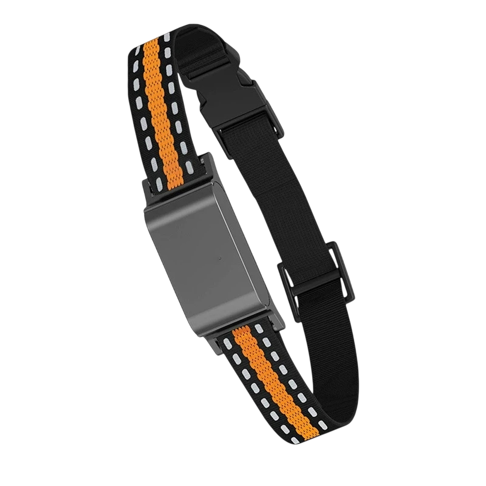 PawiTrack 4G Cat GPS Tracker & Activity Monitor | Real-Time Tracking UK