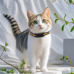 PawiTrack 4G Cat GPS Tracker & Activity Monitor UK