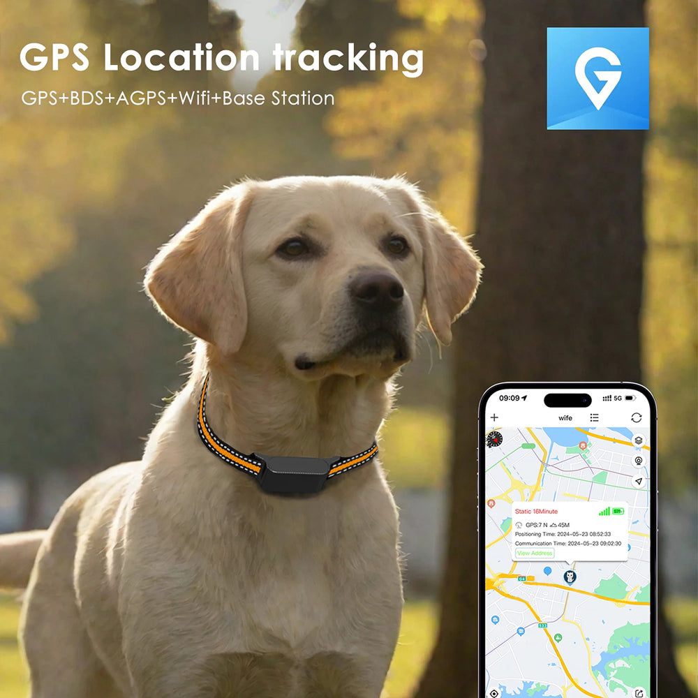 PawiTrack 4G Cat GPS Tracker & Activity Monitor UK