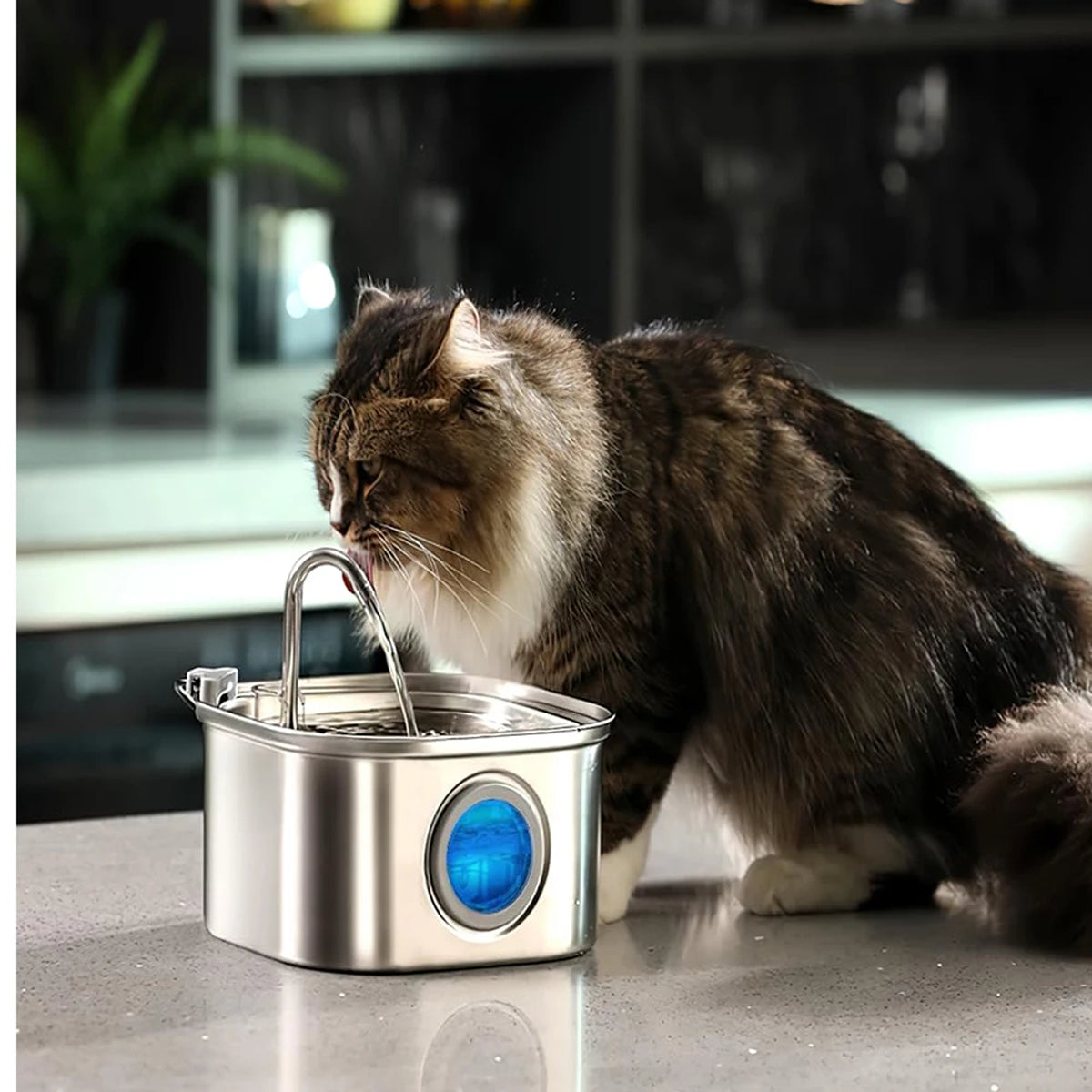 PurriVax Stainless Steel Cat Drinking Fountain 2.2L