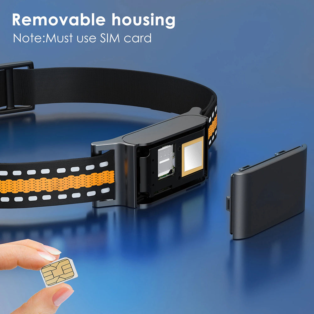 PawiTrack 4G Cat GPS Tracker & Activity Monitor | Real-Time Tracking UK