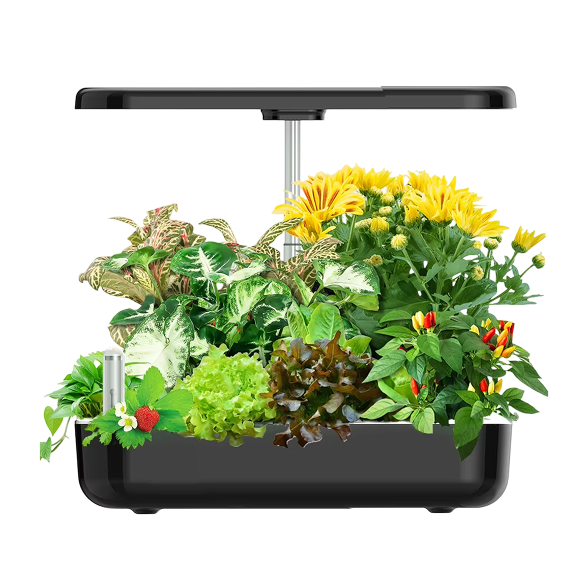 AquaBloome Hydroponic Indoor Herb Garden UK