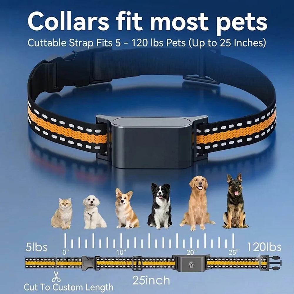 PawiTrack 4G Cat GPS Tracker & Activity Monitor UK