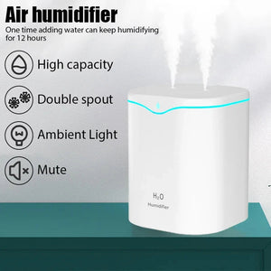 ClouDiaxi 2L Silent Cool Mist Humidifier with Dual Nozzle