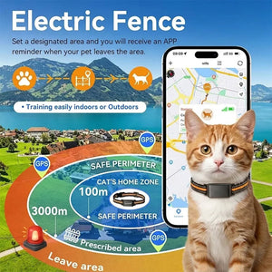 PawiTrack 4G Cat GPS Tracker & Activity Monitor | Real-Time Tracking UK