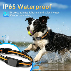 PawiTrack 4G Cat GPS Tracker & Activity Monitor UK