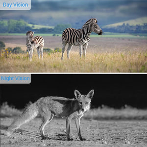 FaunPeak WiFi Wildlife Camera | 20MP HD Night Vision Trail Cam