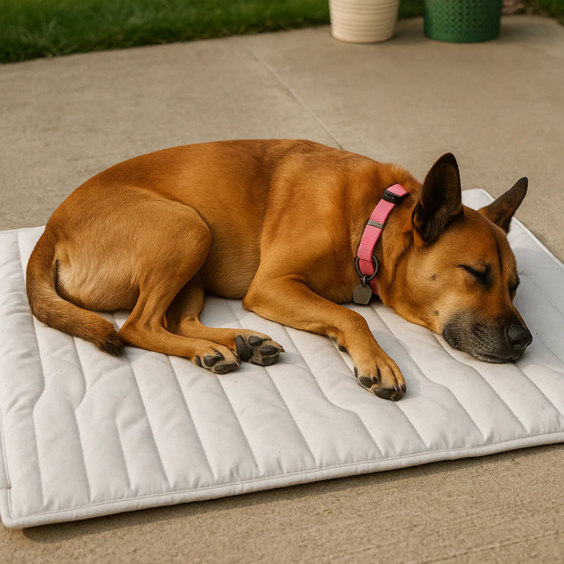 Kobolaf Arc-Chill Dog Cooling Mat - Portable & Washable Pet Cushion