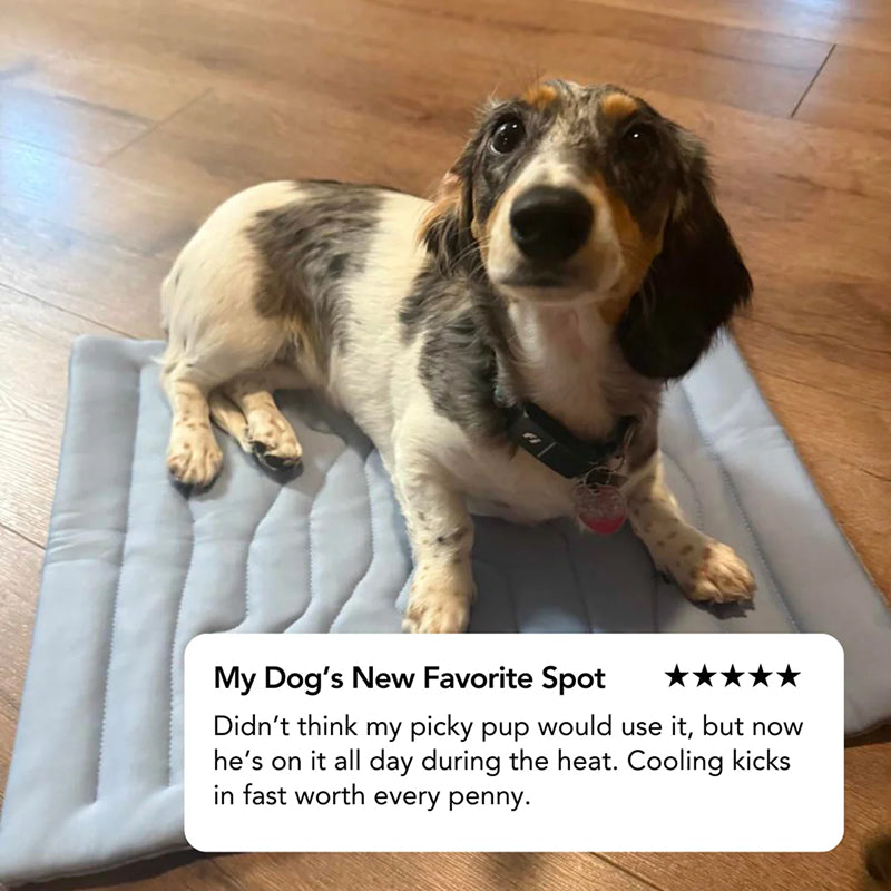 Kobolaf Arc-Chill Dog Cooling Mat - Portable & Washable Pet Cushion