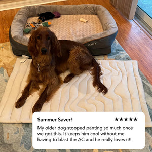 Kobolaf Arc-Chill Dog Cooling Mat - Portable & Washable Pet Cushion