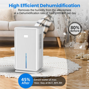 MoisTrixe Portable Dehumidifier | Whisper-Quiet Moisture Control