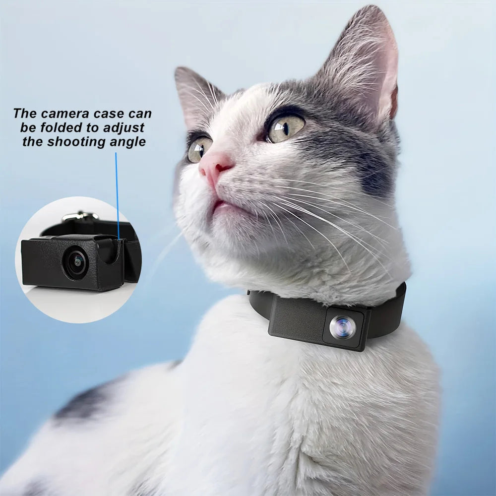 PawiPixel HD Cat & Small Dog Camera Collar with Stabilization