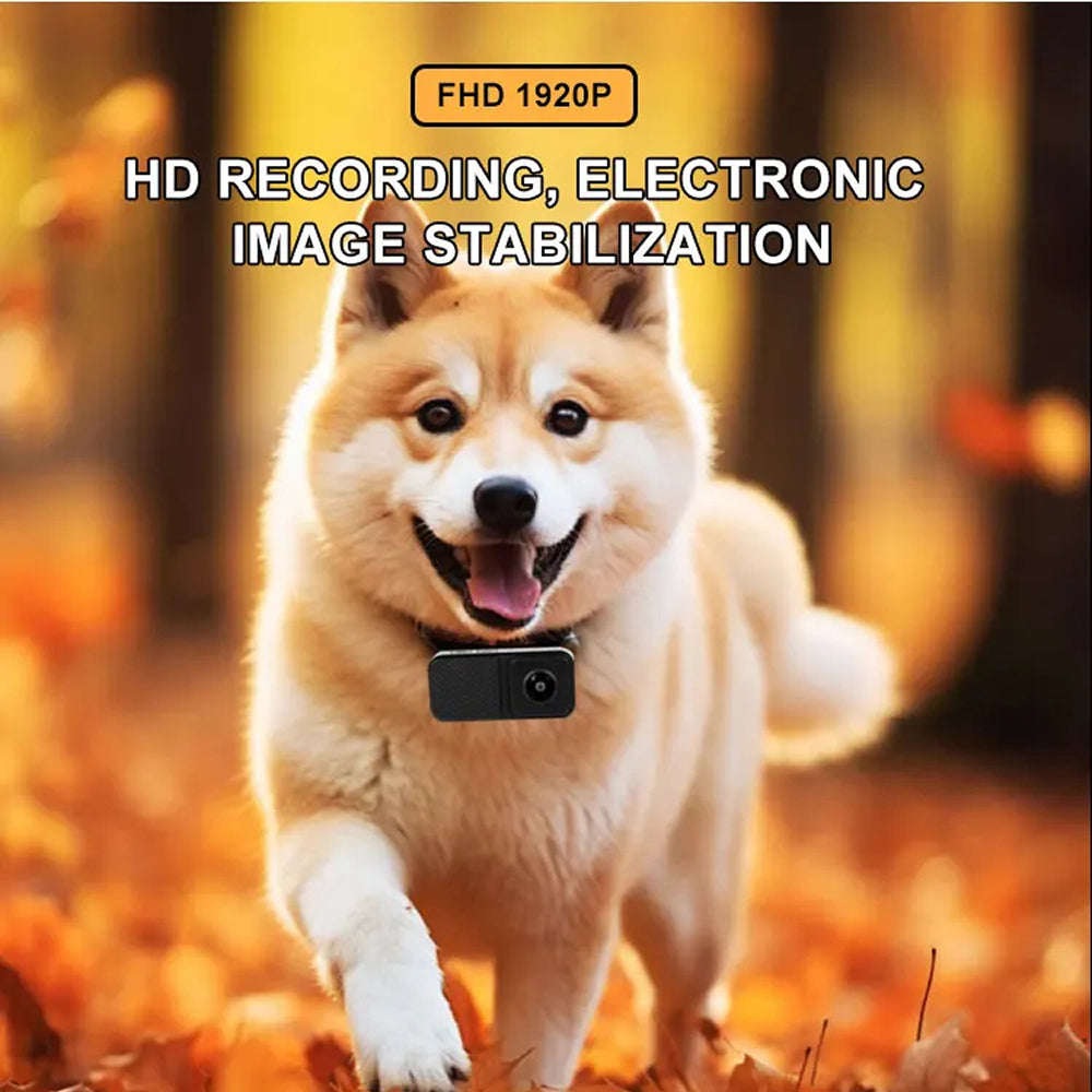 PawiPixel HD Cat & Small Dog Camera Collar with Stabilization