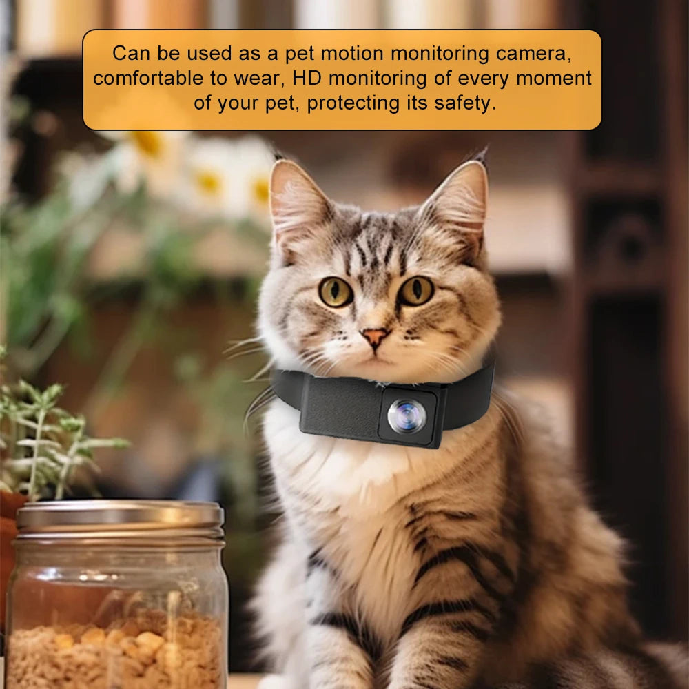 PawiPixel HD Cat & Small Dog Camera Collar with Stabilization