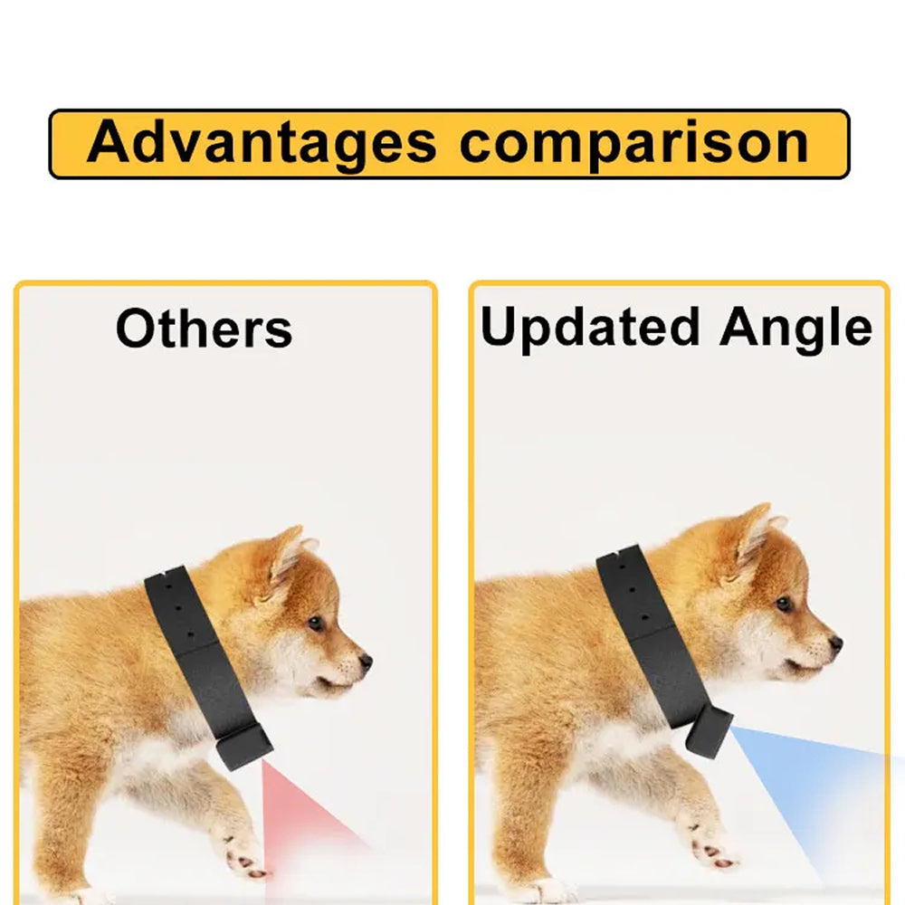 PawiPixel HD Cat & Small Dog Camera Collar with Stabilization