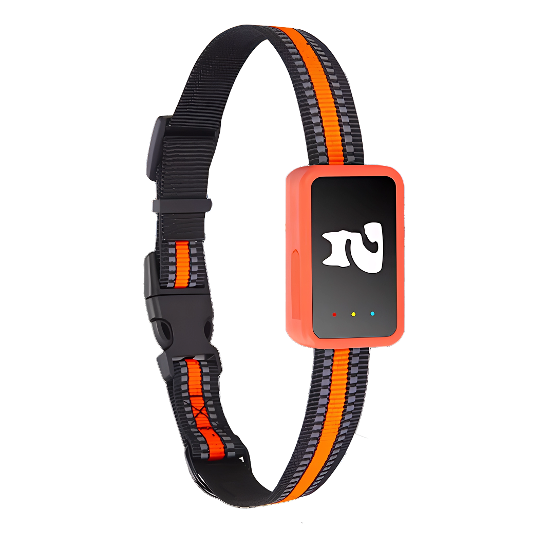 PawiSition Cat GPS Tracker: Real-Time Location & Activity Monitor