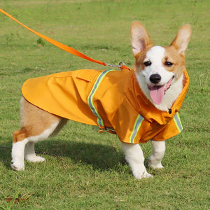 PawieVeil Waterproof Dog Raincoat | Reflective All-Weather Coat