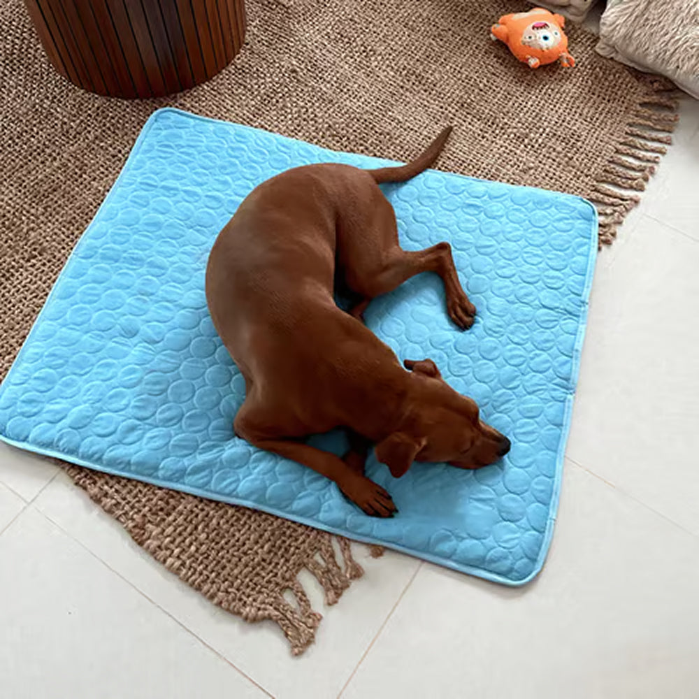 Pawolaf Dog Cooling Mat - Gel-Free Heat Relief for Pets