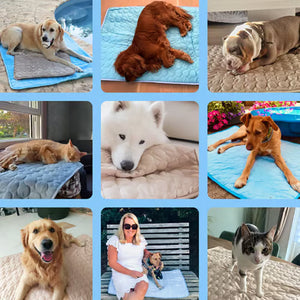 Pawolaf Dog Cooling Mat - Gel-Free Heat Relief for Pets