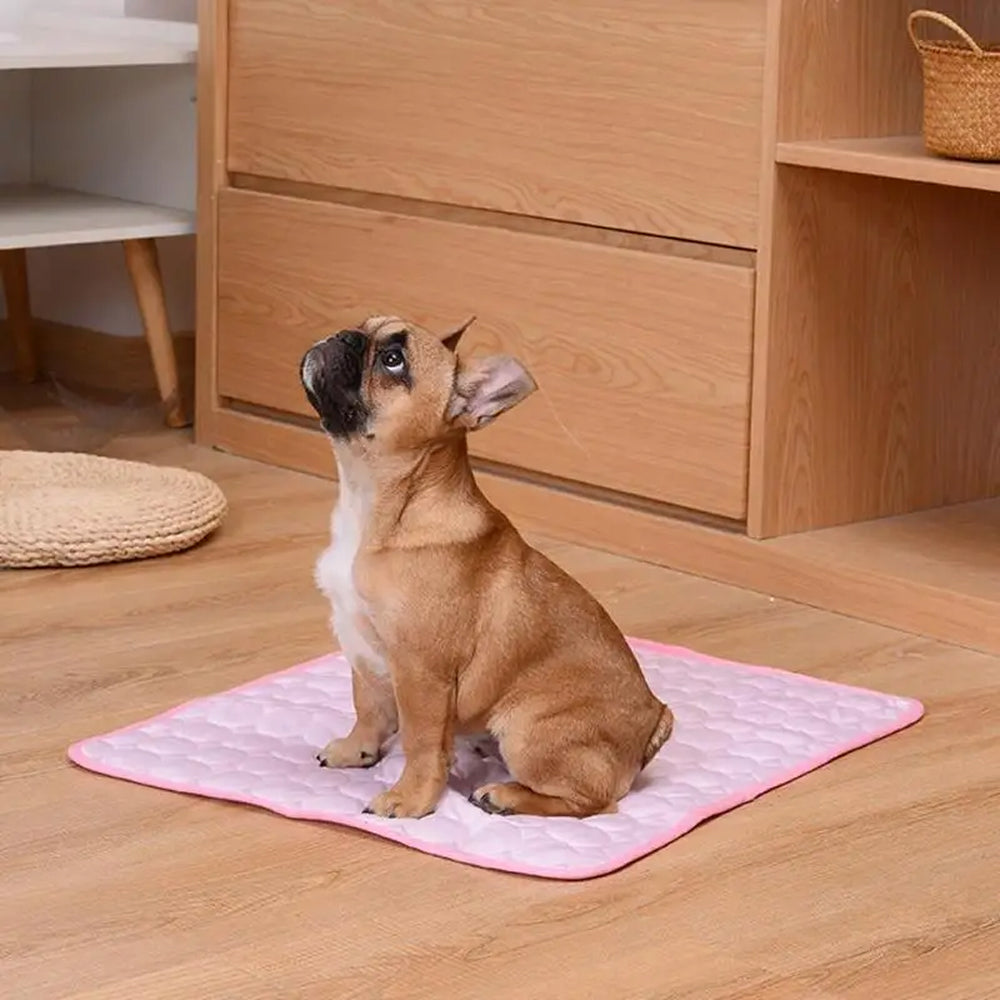 Pawolaf Dog Cooling Mat - Gel-Free Heat Relief for Pets