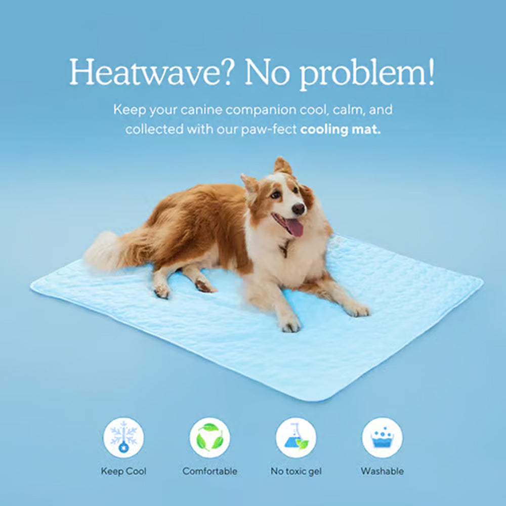 Pawolaf Dog Cooling Mat - Gel-Free Heat Relief for Pets