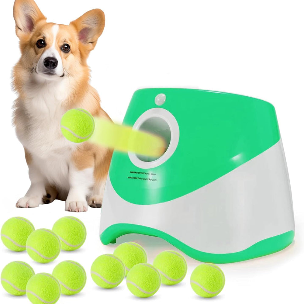 RodoWufi Automatic Ball Launcher for Small to Medium Dogs UK