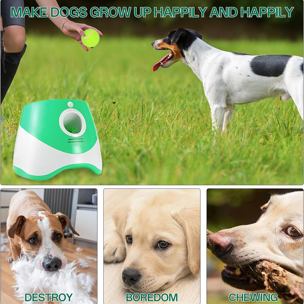 RodoWufi Automatic Ball Launcher for Small to Medium Dogs UK
