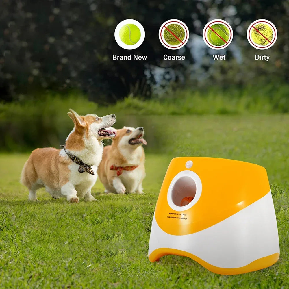 RodoWufi Automatic Dog Ball Launcher for Small to Medium Dogs