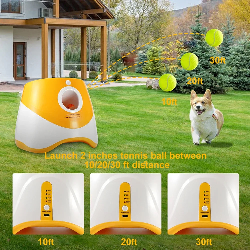 RodoWufi Automatic Ball Launcher for Small to Medium Dogs UK
