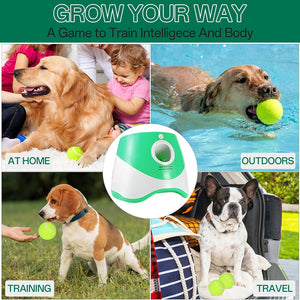 RodoWufi Automatic Dog Ball Launcher for Small to Medium Dogs