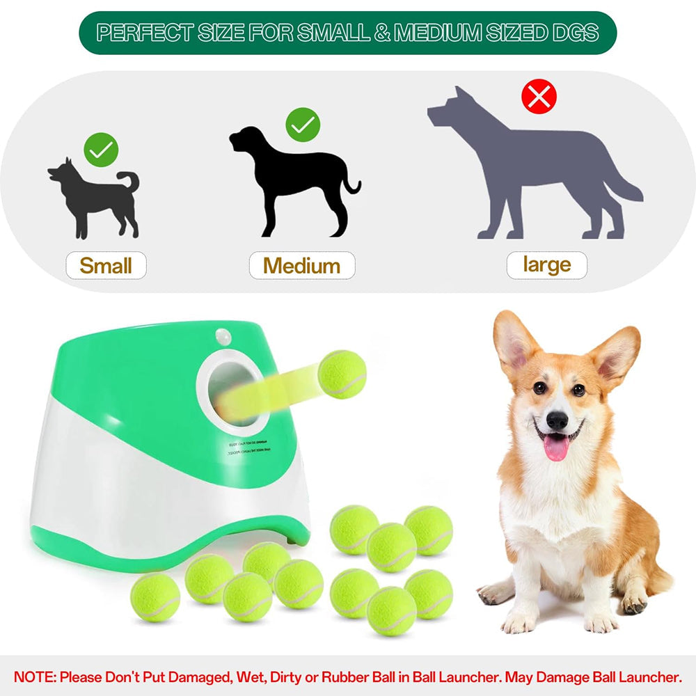 RodoWufi Automatic Ball Launcher for Small to Medium Dogs UK