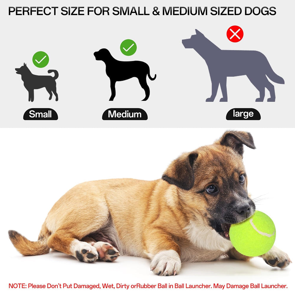 RodoWufi Automatic Dog Ball Launcher for Small to Medium Dogs