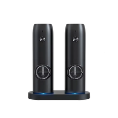 SalteSonic