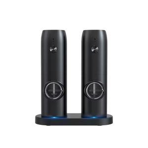 SalteSonic