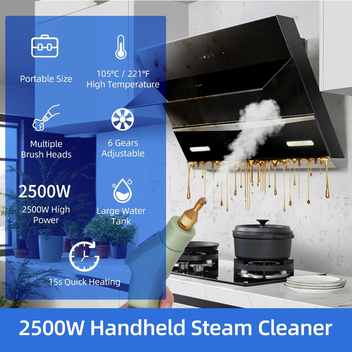 Vaporeex Powerful 2500W Steam Cleaner for Home